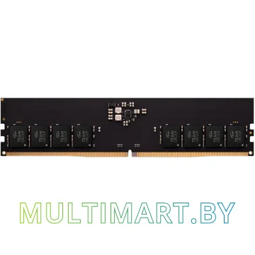 Оперативная память Team Elite 16GB DDR5 PC5-48000 (TED516G5600C4601)
